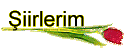�iirlerim